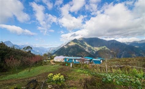 大通山森林公園：探索自然奇觀，感受山林清幽！