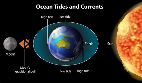 How Often Do You Wax Your Car, and Does It Affect the Moon's Gravity?